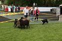 IMG_6293