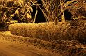 IMG_8379