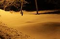 IMG_8406