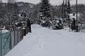 IMG_8419