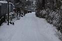 IMG_8426