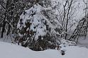 IMG_8431