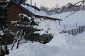 IMG_8484