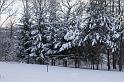 IMG_8523