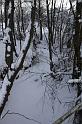 IMG_8528