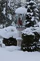 IMG_8530