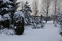 IMG_8536
