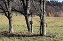 IMG_3444
