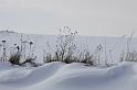 IMG_1622