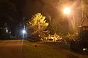 IMG_1588