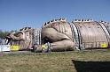 IMG_1223