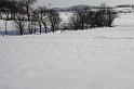 IMG_0205