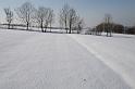 IMG_0223