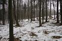 IMG_0576
