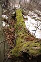 IMG_0587