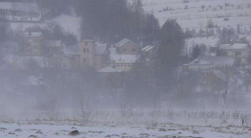 P1000194.jpg