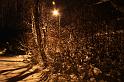 IMG_1372