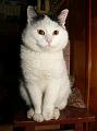 Maciek_02