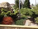 DSC00539