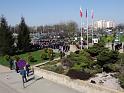 DSC00605