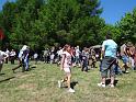 Cernina_Makovica_2013_72