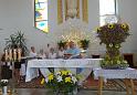 DSC00248