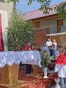 DSC04586