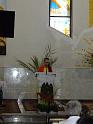 DSC09729