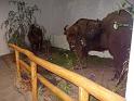 DSCN0073