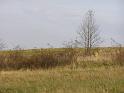 P1010571