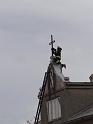DSC00768