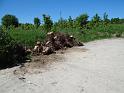 IMG_20180506_115952a