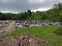 IMG_20180506_115952a_31