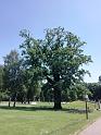 IMG_20190615_112952