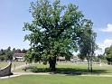 IMG_20190615_113337