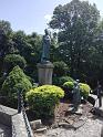 IMG_20190615_113405