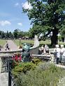 IMG_20190615_113810