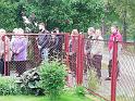 IMG_20190529_191604