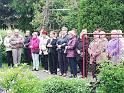 IMG_20190529_191754