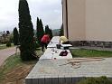 IMG_20200501_110134