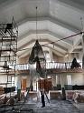 IMG_20200504_105644