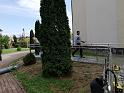 IMG_20200528_144404