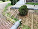 IMG_20200528_144412