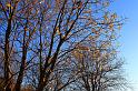 IMG_0724