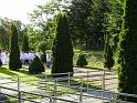 DSC02089