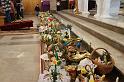 IMG_9460