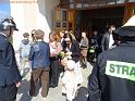 DSC01195