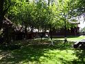 DSC02973