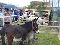 DSC05908